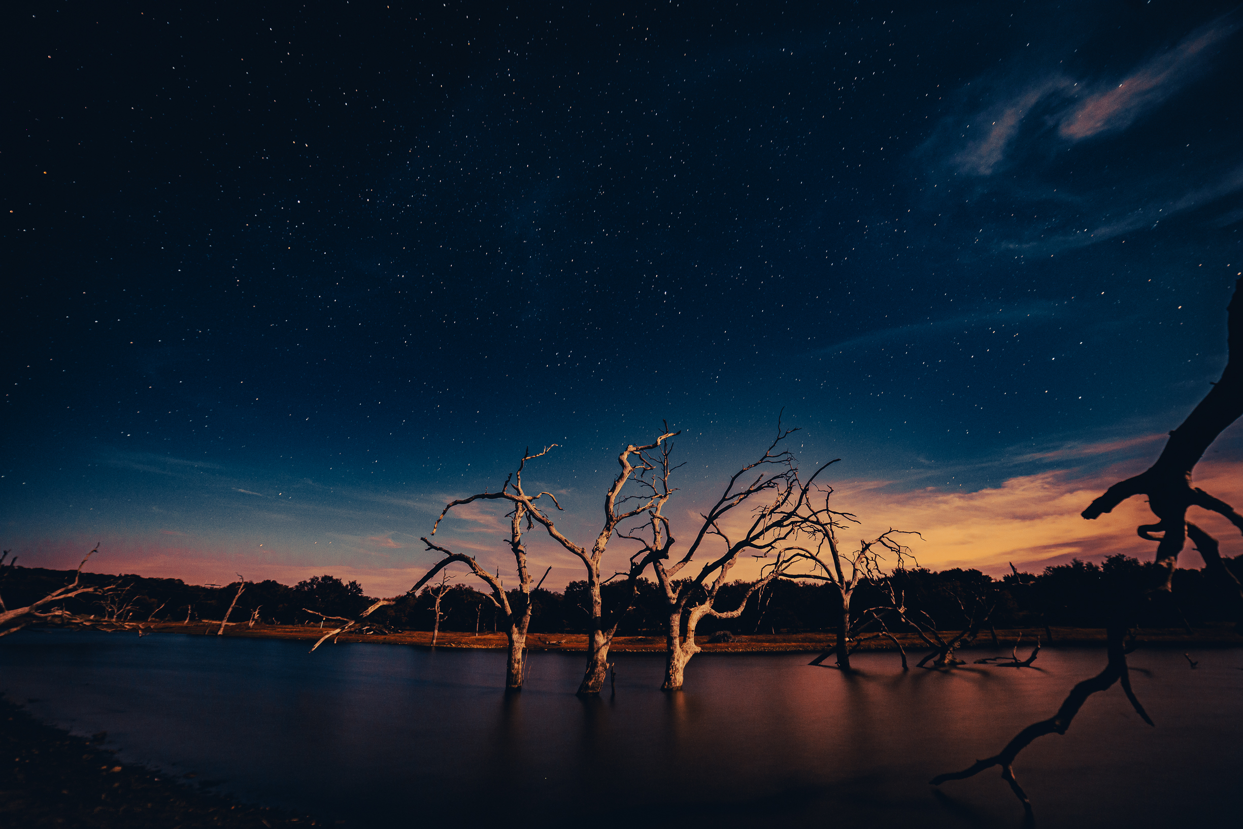 RPR lake trees under the stars